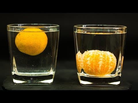School Science Projects | Density Experiment With Oranges