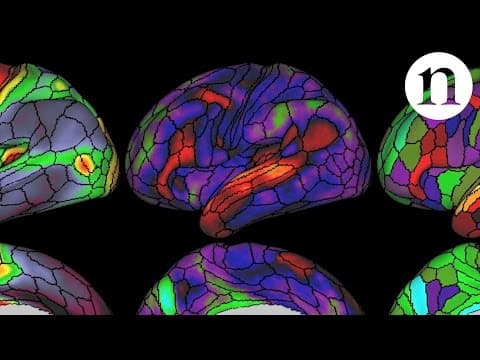 The ultimate brain map