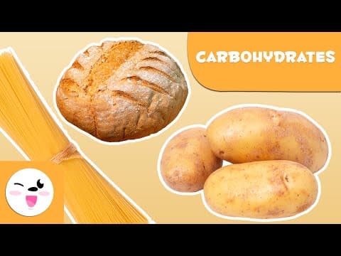 What are carbohydrates?