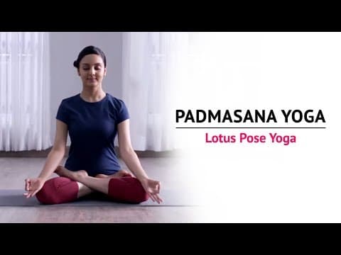 The Lotus Flower  Padmasana