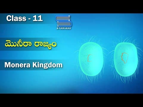 జీవశాస్త్ర వర్గీకరణ | Biological Classification | Monera Kingdom | Biology