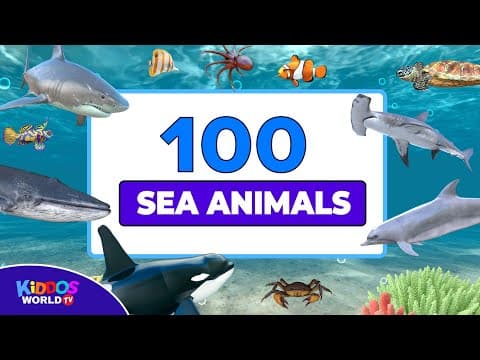 100 sea animals collection - learning aquatic animals names