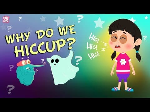 Why Do We Hiccup?
