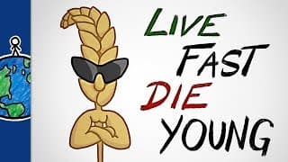 Why Our Favorite Crops Live Fast and Die Young