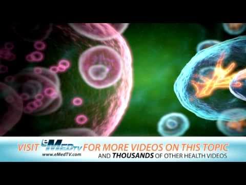 Understanding Allergies