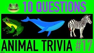 ANIMAL TRIVIA QUIZ