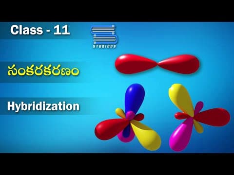 సంకరకరణం | Hybridization | Chemical Bonding and Molecular structure