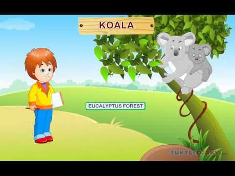 Amazing Wild Animals! *Animal Science for Kids*