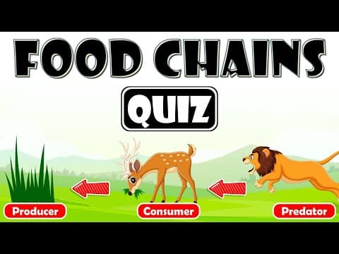 Food Chains Quiz for Kids | Exploring Energy Flow in Ecosystems | Roles of Organisms in Food Chains