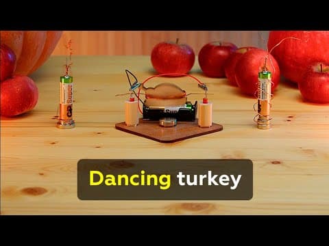 Dancing turkey