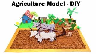 agriculture model making DIY | science project | organic farming