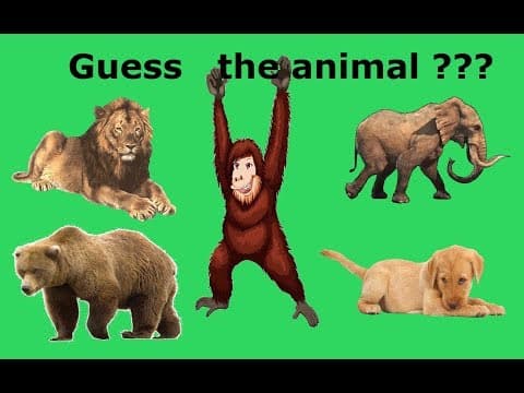 Guess the animal with clues part 1