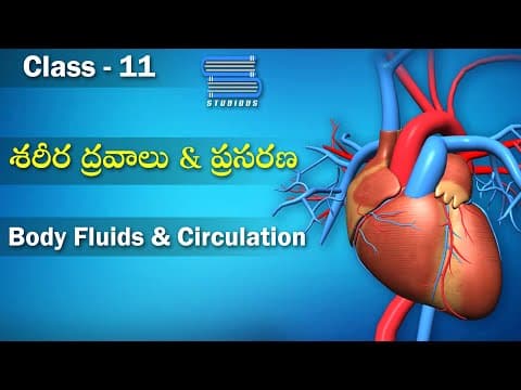 శరీర ద్రవాలు మరియు ప్రసరణ - Body Fluids | Body Fluids and their Circulation