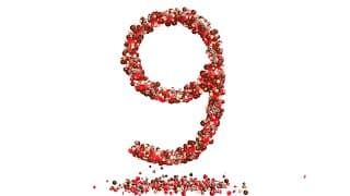 Learn Numbers with Colorful Candies|Colorful Candies and Numbers|Learn Counting with Candies