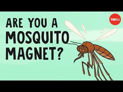 Why mosquitoes bite some people more than others - Maria Elena De Obaldia - YouTube