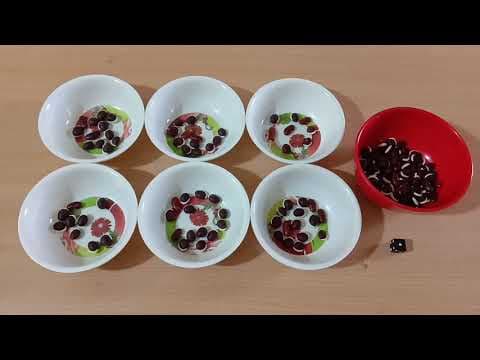 Fun family game # 16 || Lucky bowl game