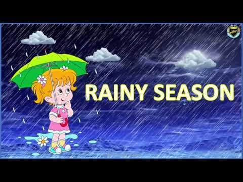 Rainy Season - Things we see during rainy season