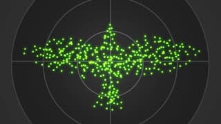 How Birds Fooled Military Radar