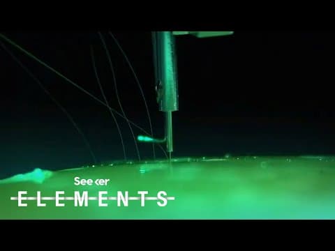 Why Elon Musk Wants to Implant an Electrical Wire in Your Brain