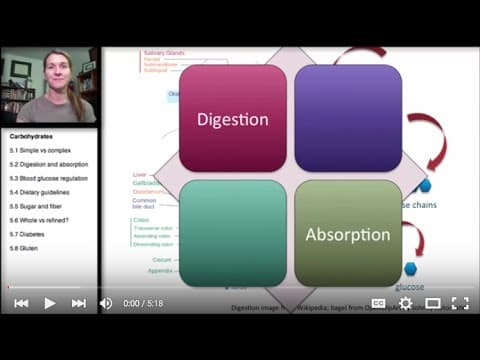 Carbohydrates: Digestion and Absorption