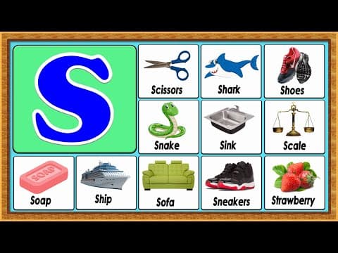 Words from s - vocabulary words - early childhood education - abc flashcards