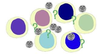 Immunity - Active vs Passive