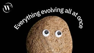 Are non-living things evolving