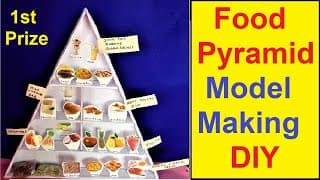 food pyramid model making | DIy science project | 3D | food pyramid | still model