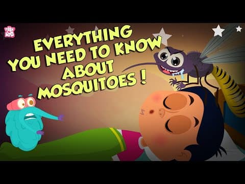 Everything about mosquitoes