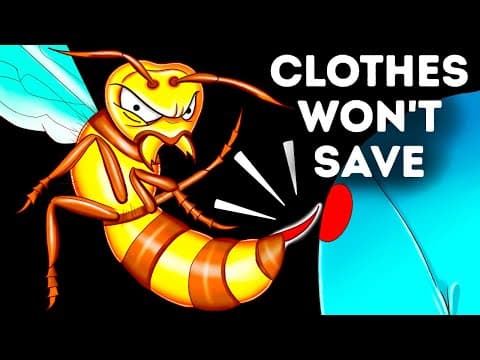 How Your Body Reacts to a Giant Hornet Sting
