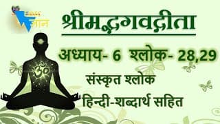 Shloka 6.28,29 of Bhagavad Gita with Hindi word meanings