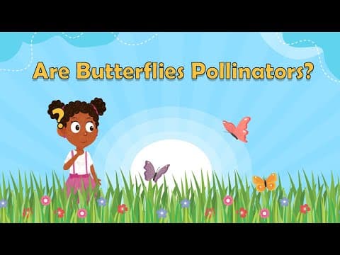 Are Butterflies Pollinators? - What Is a Pollinator? - Butterfly Facts - Insect Facts For Kids