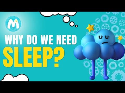 Why is Sleep Important? | The Importance of Sleep for Children #whyamisotired