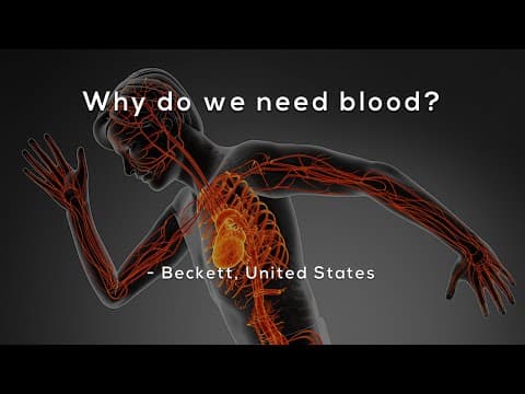 Why do we need blood