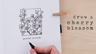 How to Draw a Cherry Blossom | Illustration for Beginners