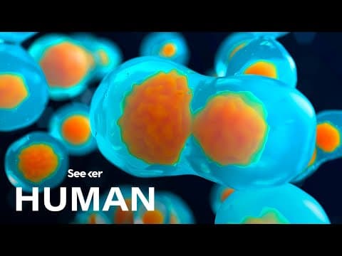 How Exactly Is the Human Body Organized?