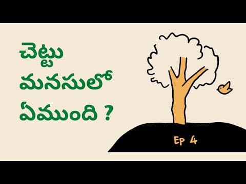 stories for Kids | Bedtime Stories in Telugu | Pitta Katha | Neethi kathalu in Telugu for kids