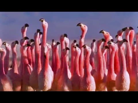 Beautiful Patagonian Landscape | Wild South America