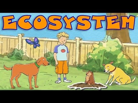 Environment: Ecosystem Around Us