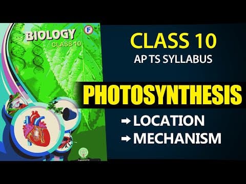 Nutrition |Photosynthesis Location & Mechanism