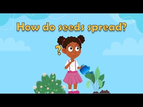 How do seeds spread? -What is pollination? -Pollination for kids - teaching pollination