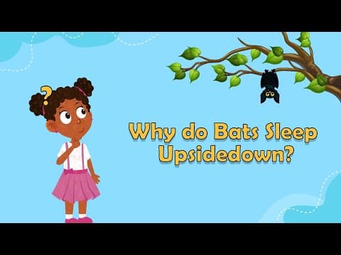 Why do Bats Sleep Upsidedown? - Animal Facts for Kids -Bat Facts for Kids