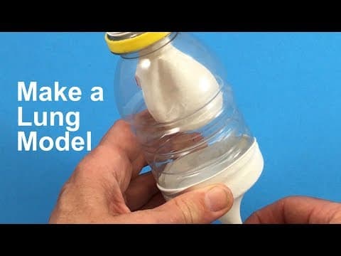 Make a Lung Model