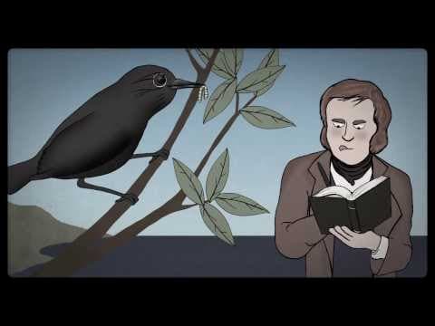 NPR: Great Moments In Science History! | SKUNK BEAR