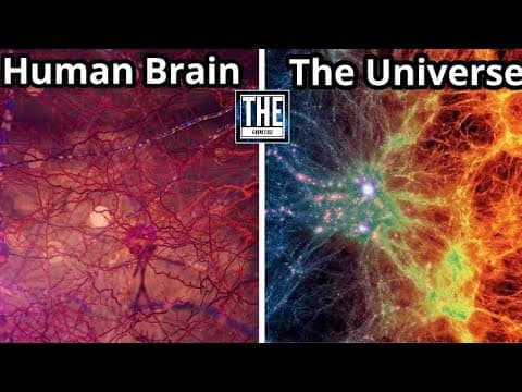 ये चीज़ ख़ुद एक ब्रह्मांड के बराबर है! You Must Know This About Human Brain