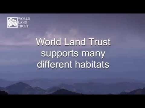 Education - Habitats