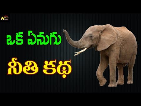 elephant and rope story in telugu | NAGARAJ TRUE FACTS