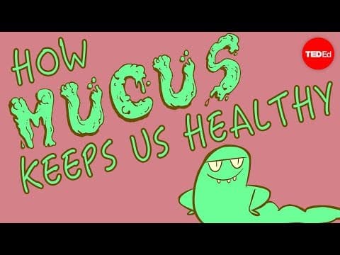 How mucus keeps us healthy - Katharina Ribbeck - YouTube