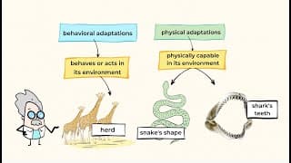 Animal Adaptations and Behaviors | MightyOwl Science