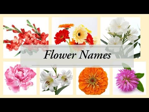 Flower Names